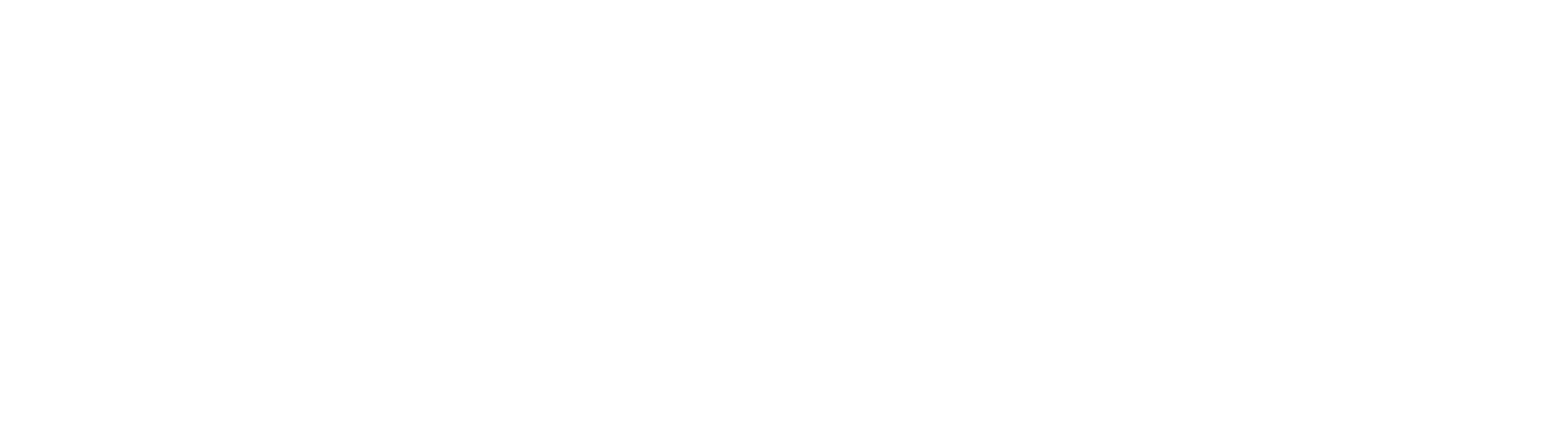 Logo Sudamericana Autos
